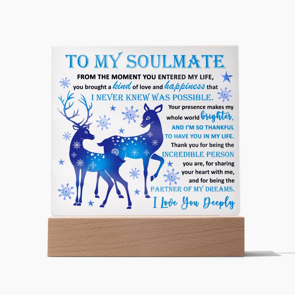 Soulmate Acrylic Plaque - Partner of My Dreams