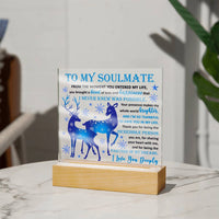 Load image into Gallery viewer, Soulmate Acrylic Plaque - Partner of My Dreams
